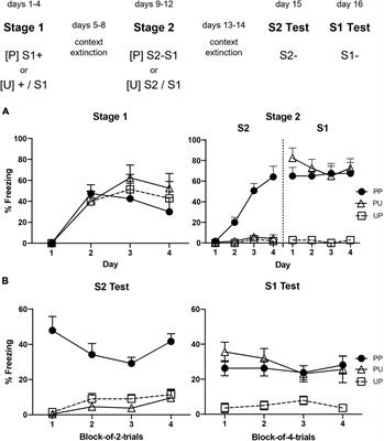 The Opioid Receptor Antagonist Naloxone Enhances First-Order Fear Conditioning, Second-Order Fear Conditioning and Sensory Preconditioning in Rats